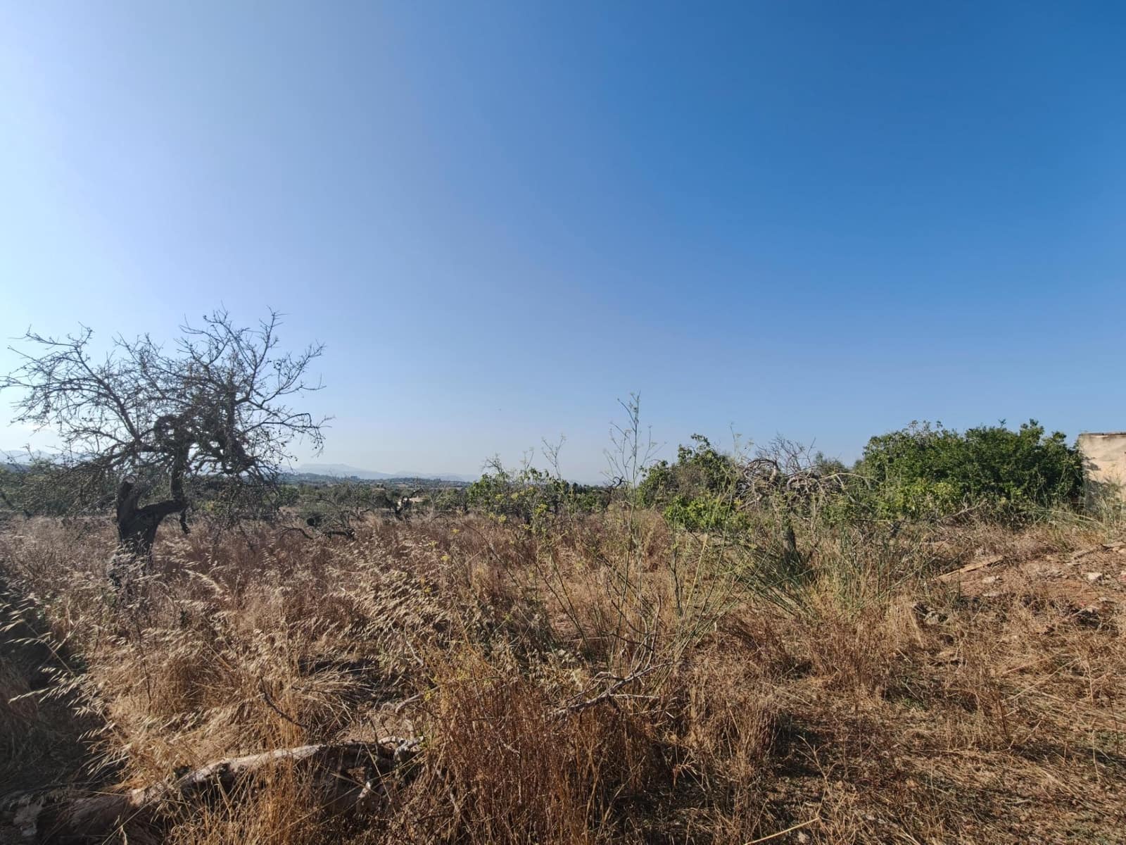 Byggegrund til salg i Santa Margalida - € 298.000 (Ref: 9128477)