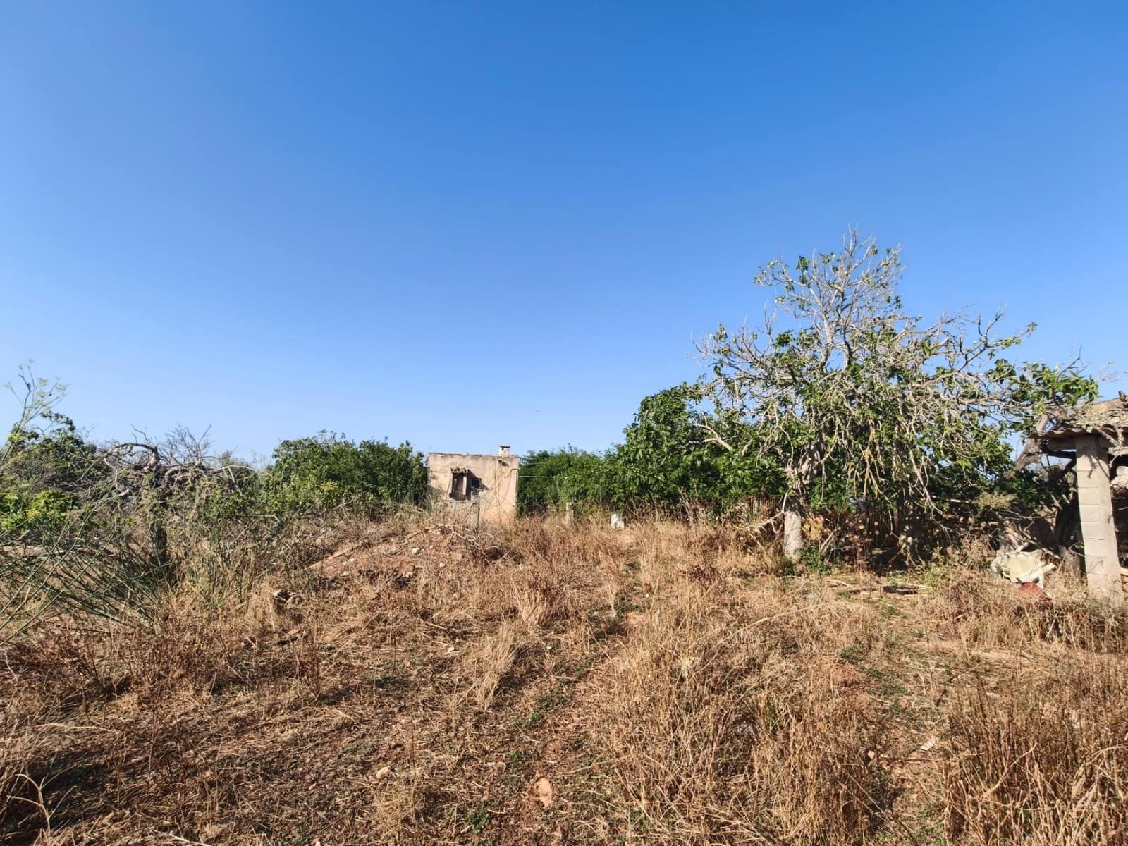 Byggegrund til salg i Santa Margalida - € 298.000 (Ref: 9128477)