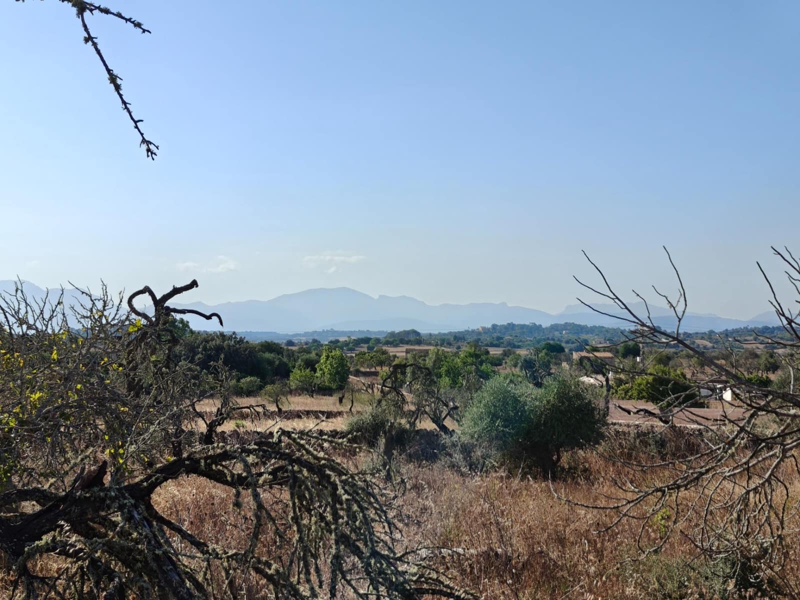 Byggegrund til salg i Santa Margalida - € 298.000 (Ref: 9128477)