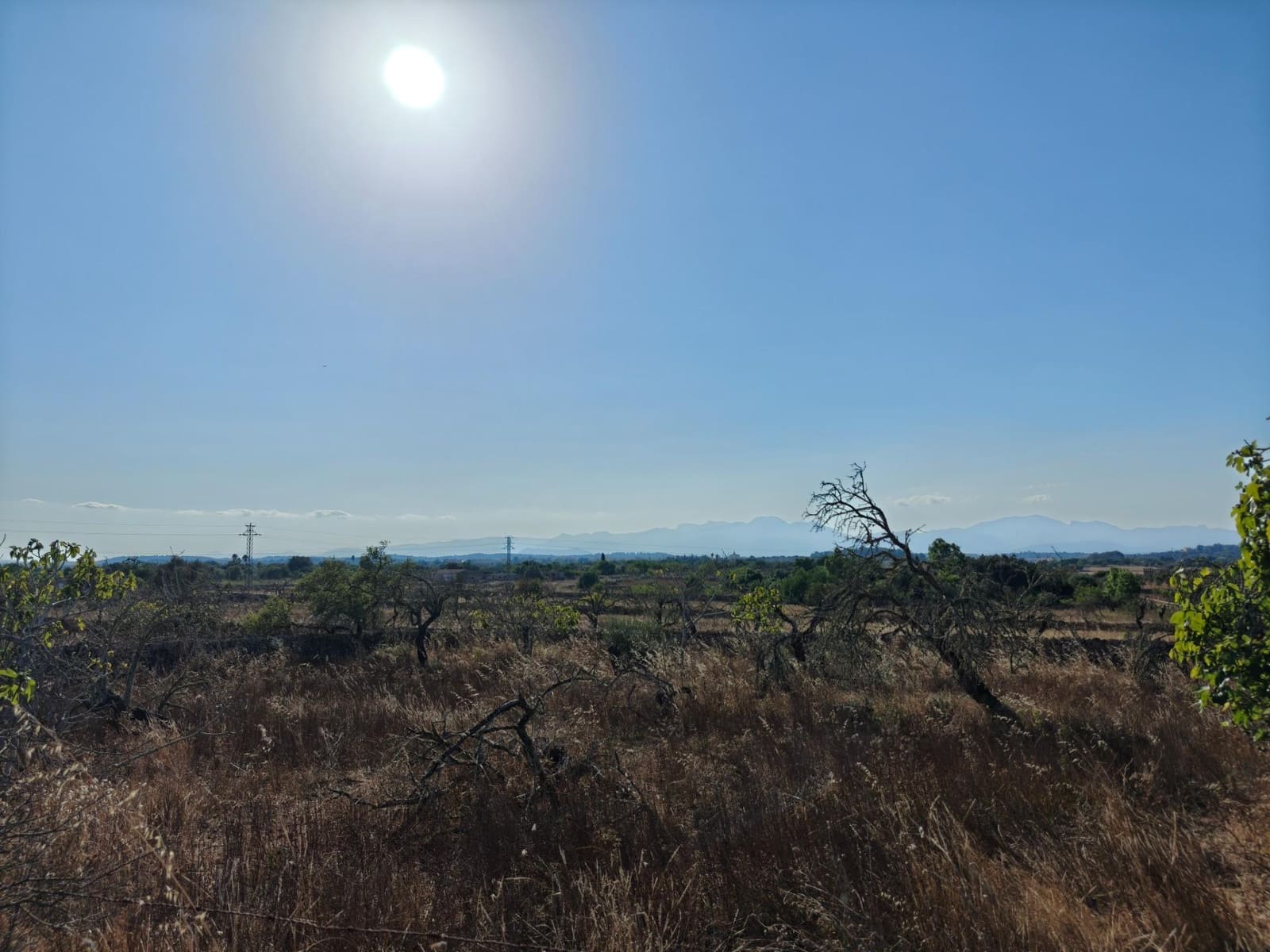 Byggegrund til salg i Santa Margalida - € 298.000 (Ref: 9128477)