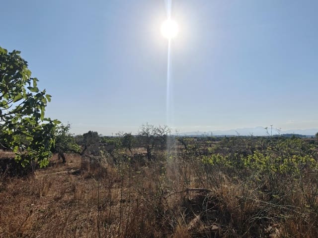 Building Plot for sale in Santa Margalida - € 298,000 (Ref: 9128477)