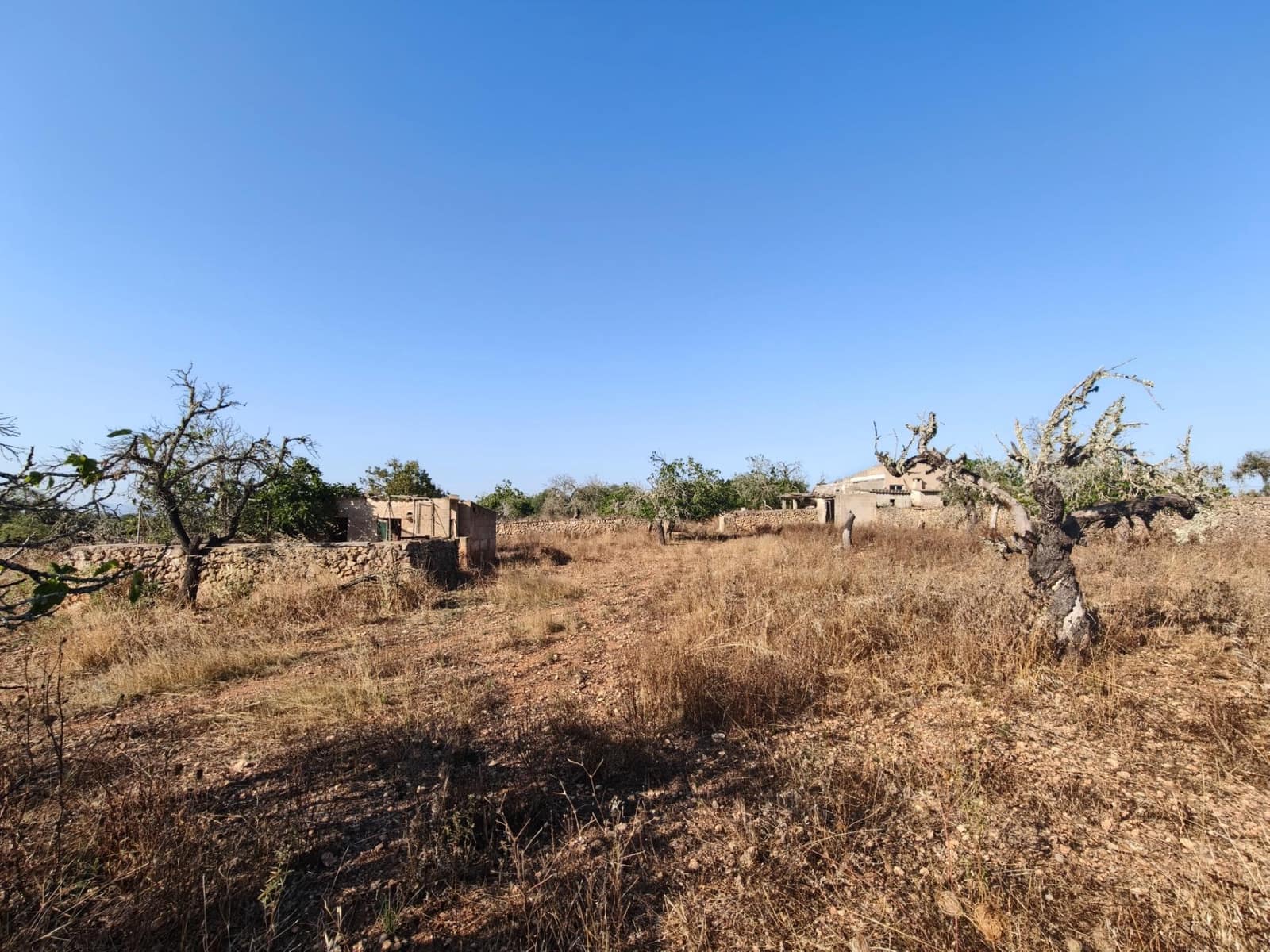 Byggegrund til salg i Santa Margalida - € 298.000 (Ref: 9128477)