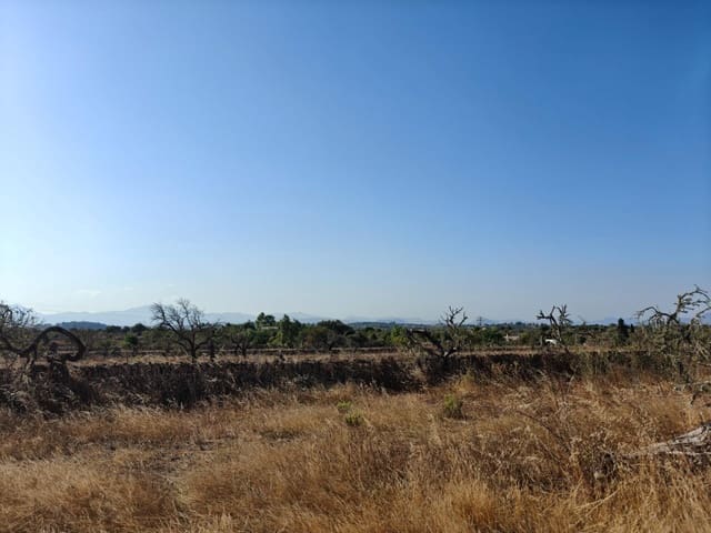 Building Plot for sale in Santa Margalida - € 298,000 (Ref: 9128477)