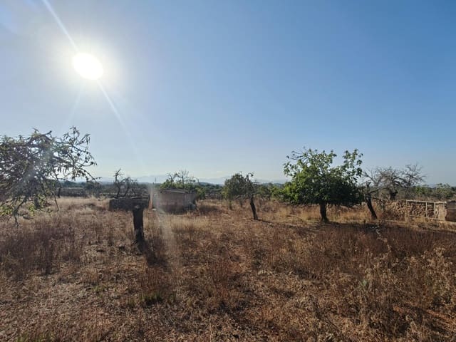 Building Plot for sale in Santa Margalida - € 298,000 (Ref: 9128477)