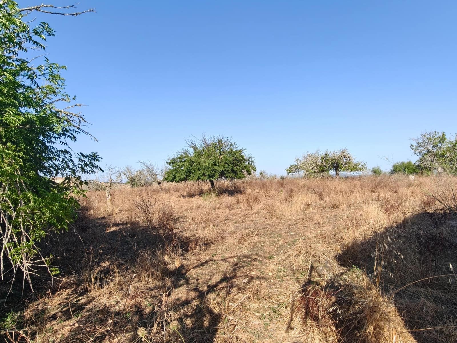 Byggegrund til salg i Santa Margalida - € 298.000 (Ref: 9128477)