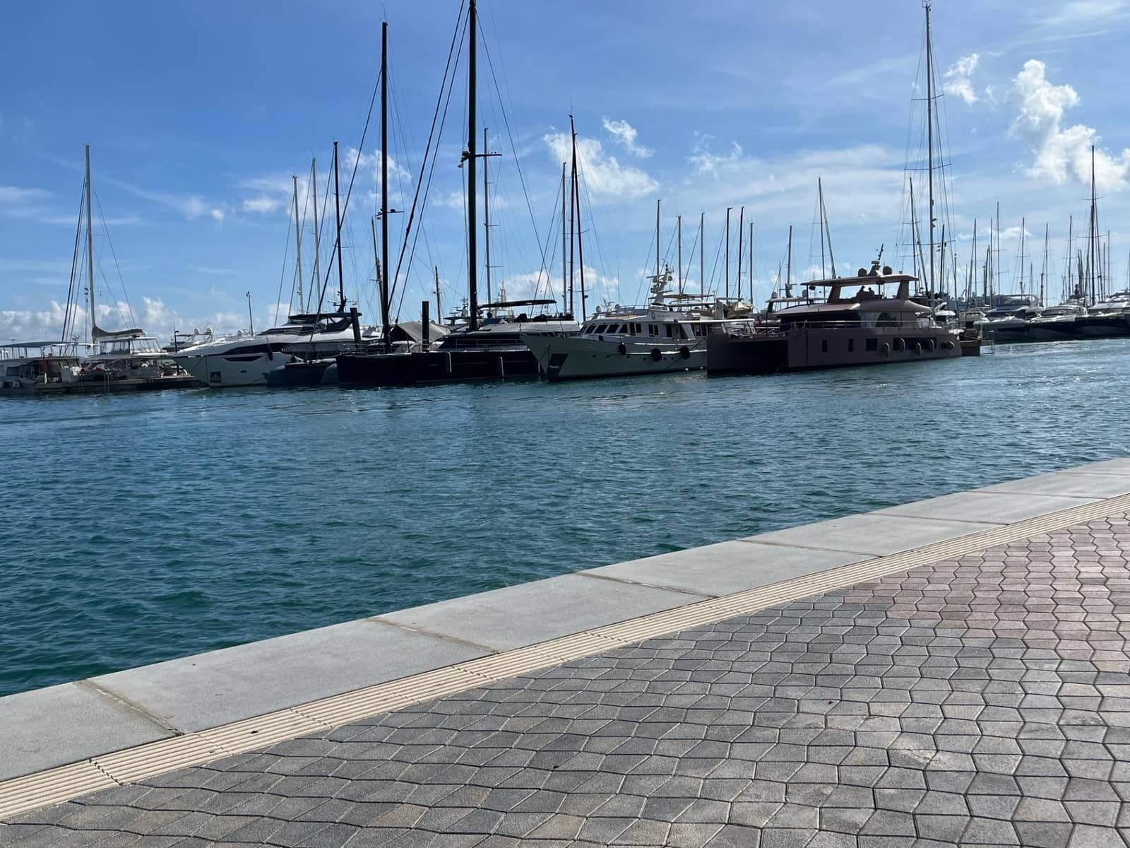Kaupallinen vuokrattavana paikassa Palma de Mallorca - 5 000 € (Ref: 9452277)