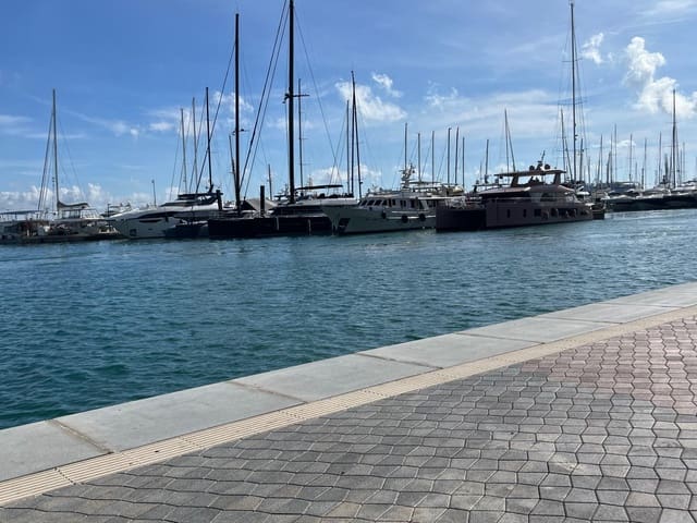 Kaupallinen vuokrattavana paikassa Palma de Mallorca - 5 000 € (Ref: 9452277)