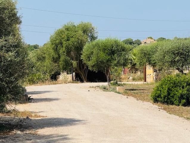 4 soverom Finca/Herregård til salgs i Petra - € 1 790 000 (Ref: 9625879)