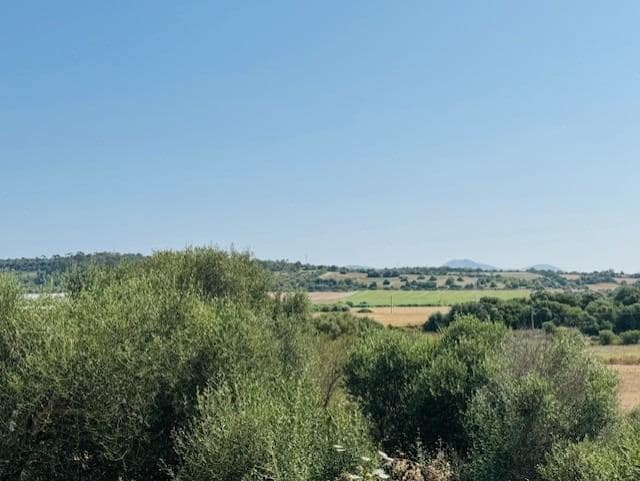 4 soverom Finca/Herregård til salgs i Petra - € 1 790 000 (Ref: 9625879)