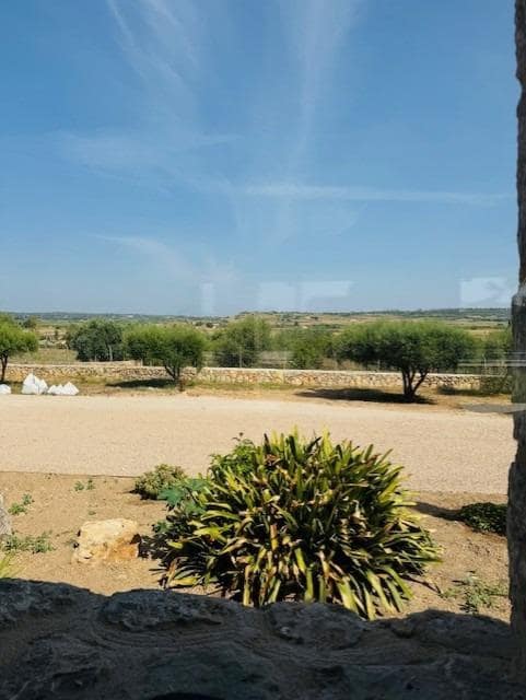 4 bedroom Finca/Country House for sale in Petra with pool - € 1,790,000 (Ref: 9625879)