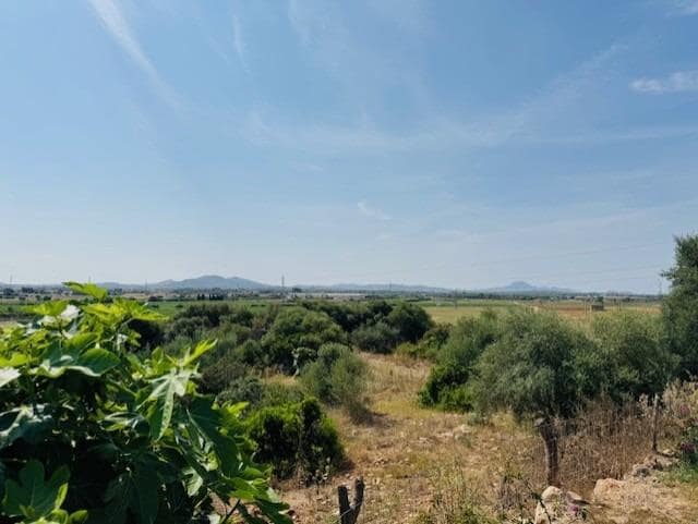 4 bedroom Finca/Country House for sale in Petra with pool - € 1,790,000 (Ref: 9625879)