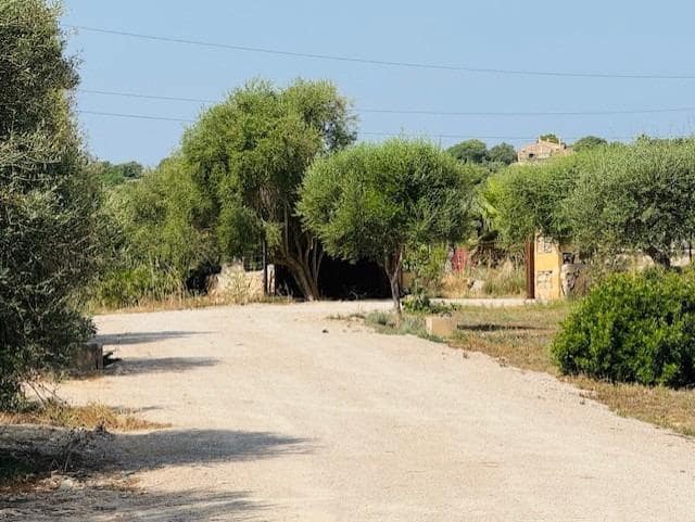 4 camera da letto Finca/Casa di Campagna in vendita in Petra con piscina - 1.790.000 € (Rif: 9625879)