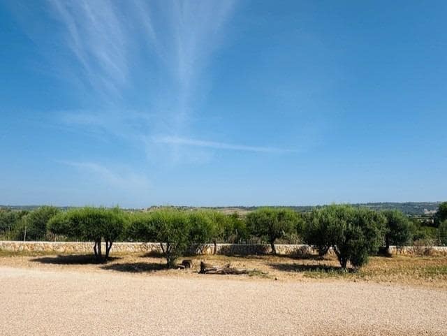 4 quarto Quinta/Casa Rural para venda em Petra com piscina - 1 790 000 € (Ref: 9625879)