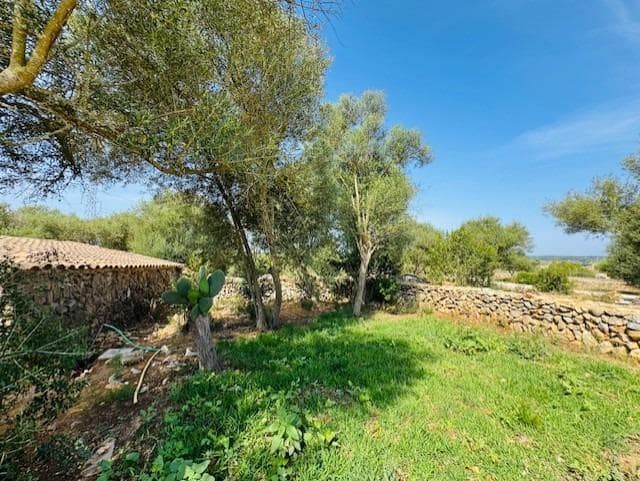4 quarto Quinta/Casa Rural para venda em Petra com piscina - 1 790 000 € (Ref: 9625879)