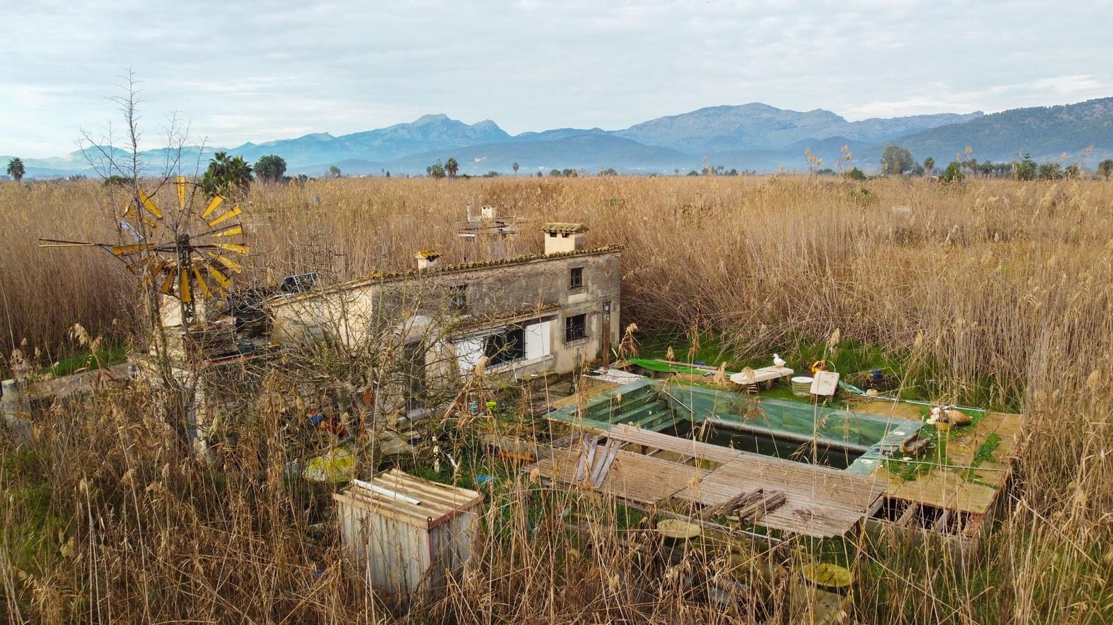 Maalaistalo myytävänä paikassa Sa Pobla mukana uima-altaan - 480 000 € (Ref: 9627772)