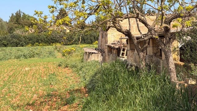 Działka budowlana na sprzedaż w Llubí - 3 995 000 € (Ref: 9738954)