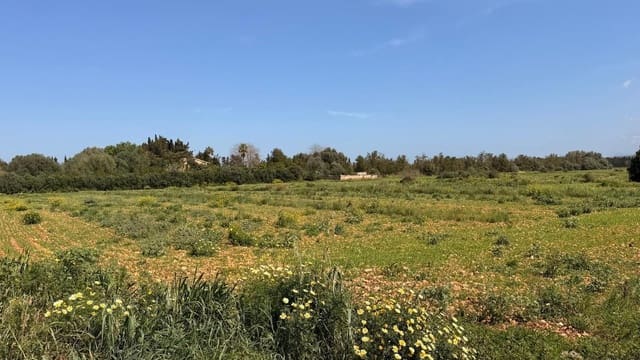 Działka budowlana na sprzedaż w Llubí - 3 995 000 € (Ref: 9738954)