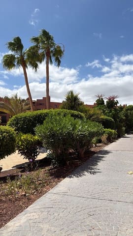 1 soverom Leilighet til leie i Santa Cruz de Tenerife med svømmebasseng garasje - € 1 500 (Ref: 10020075)