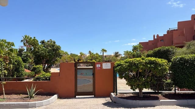 1 soverom Leilighet til leie i Santa Cruz de Tenerife med svømmebasseng garasje - € 1 500 (Ref: 10020075)