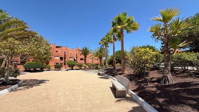 1 soverom Leilighet til leie i Santa Cruz de Tenerife med svømmebasseng garasje - € 1 500 (Ref: 10020075)
