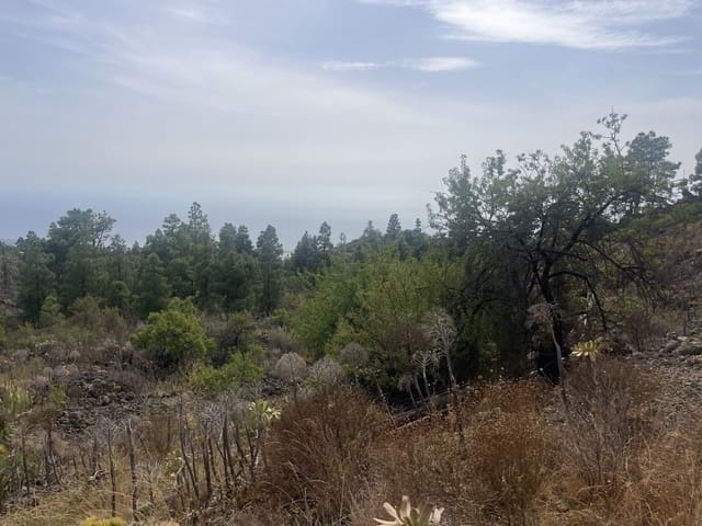Mark till salu i Chirche, Guía de Isora - 23 000 € (Ref: 10101307)