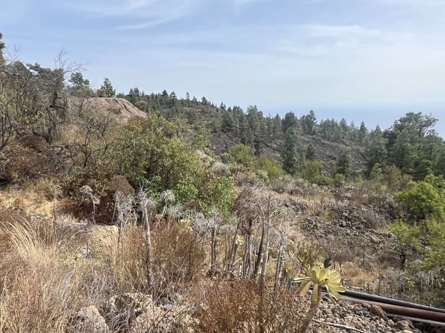 Mark till salu i Chirche, Guía de Isora - 23 000 € (Ref: 10101307)