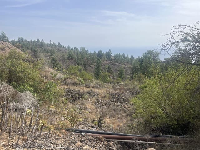 Mark till salu i Chirche, Guía de Isora - 23 000 € (Ref: 10101307)