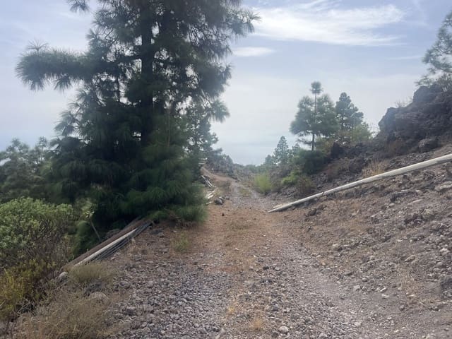 Mark till salu i Chirche, Guía de Isora - 23 000 € (Ref: 10101307)