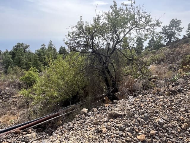 Mark till salu i Chirche, Guía de Isora - 23 000 € (Ref: 10101307)
