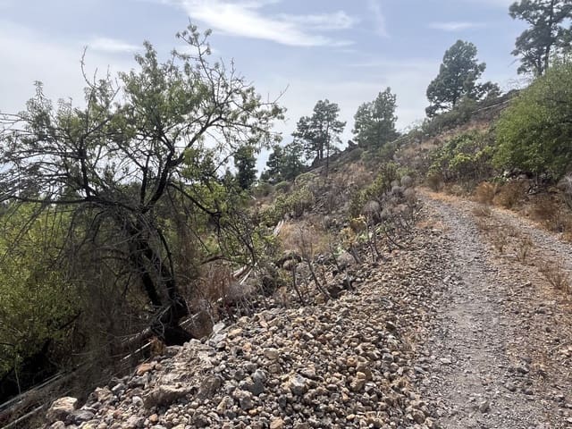 Mark till salu i Chirche, Guía de Isora - 23 000 € (Ref: 10101307)