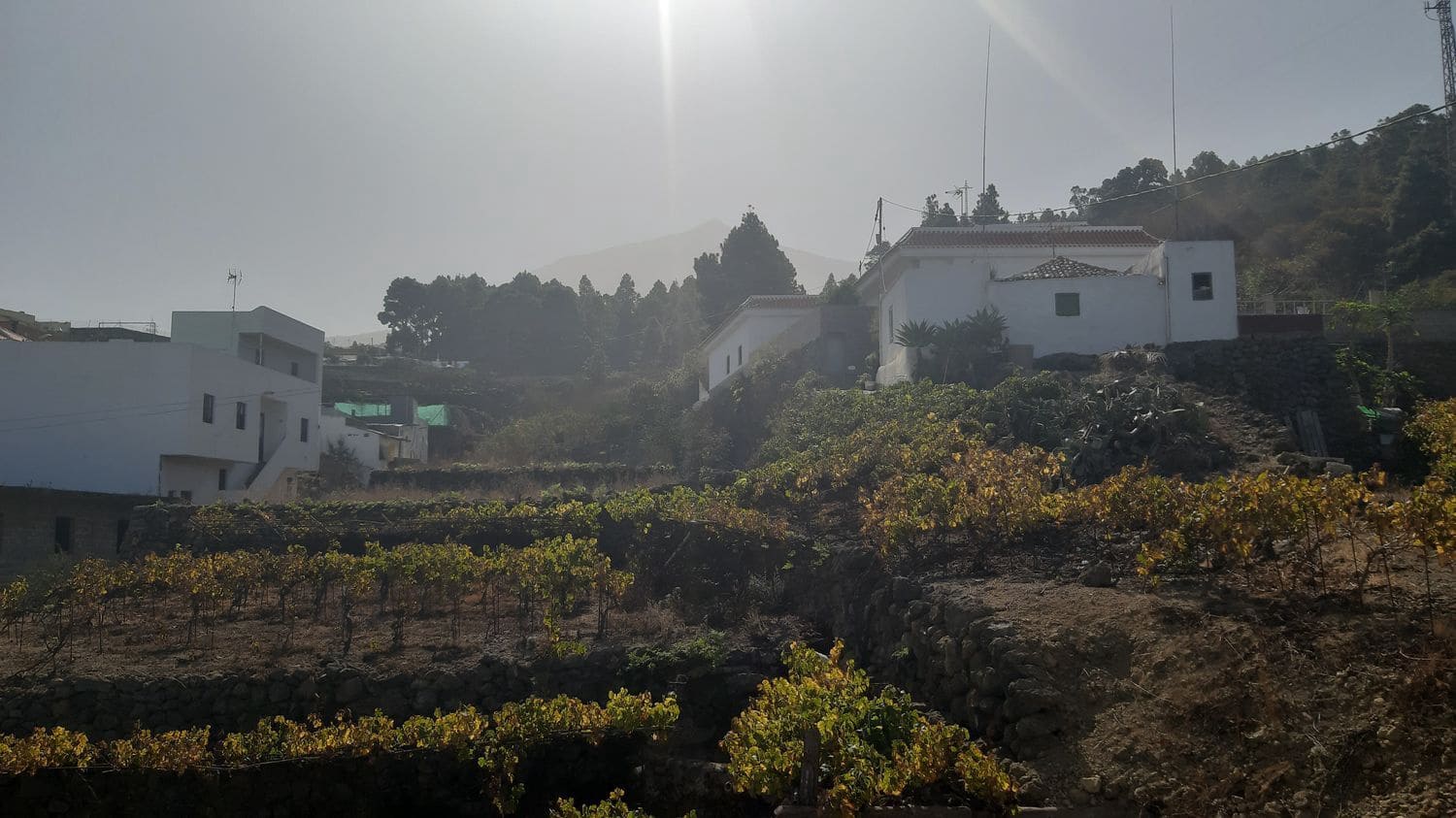 4 sovrum Finca/Hus på landet till salu i Icod de los Vinos med garage - 245 000 € (Ref: 6484670)