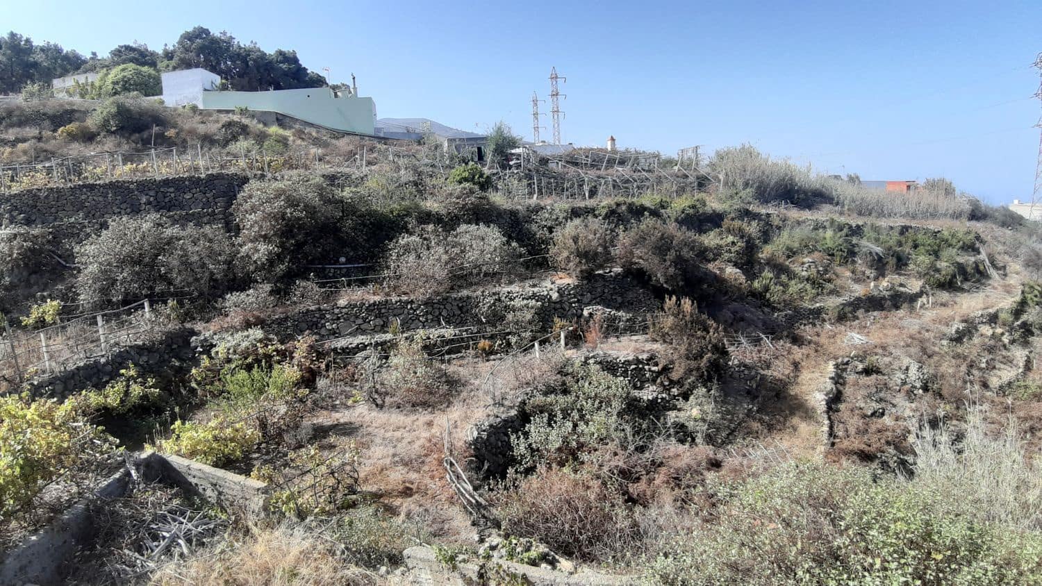 4 sovrum Finca/Hus på landet till salu i Icod de los Vinos med garage - 245 000 € (Ref: 6484670)