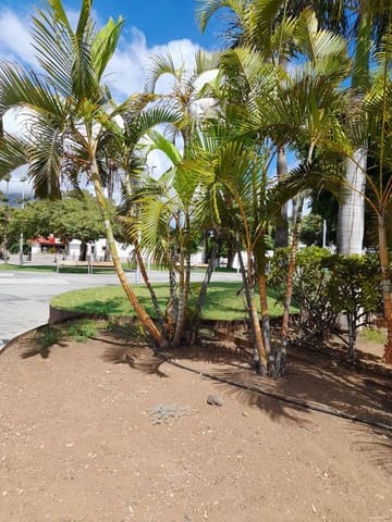 Erhverv til leje i Playa de las Americas, Arona - € 2.700 (Ref: 7811357)