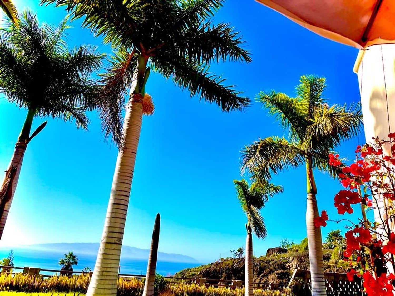 4 bedroom Villa for sale in Santiago del Teide with garage - € 1,400,000 (Ref: 8005621)