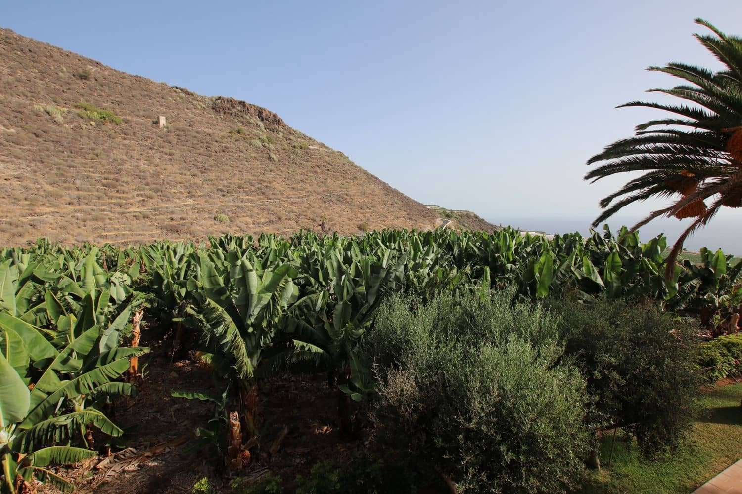 4 soveværelse Finca/Landehus til salg i Los Gigantes med garage - € 1.400.000 (Ref: 9060771)