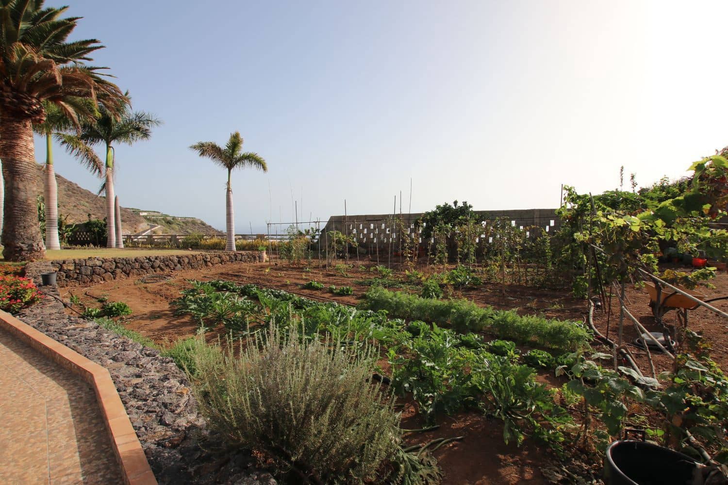 4 soveværelse Finca/Landehus til salg i Los Gigantes med garage - € 1.400.000 (Ref: 9060771)