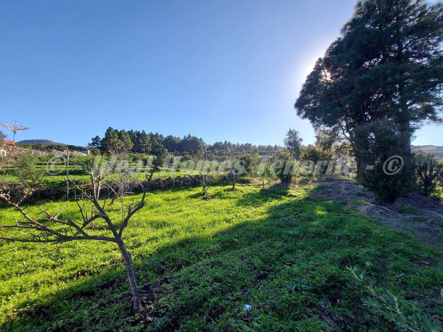 2 soveværelse Finca/Landehus til salg i El Tanque med garage - € 350.000 (Ref: 9251745)