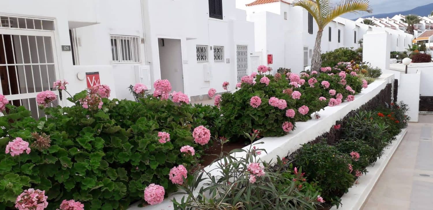 2 bedroom Apartment for rent in Playa de las Americas with pool garage - € 2,700 (Ref: 9371248)