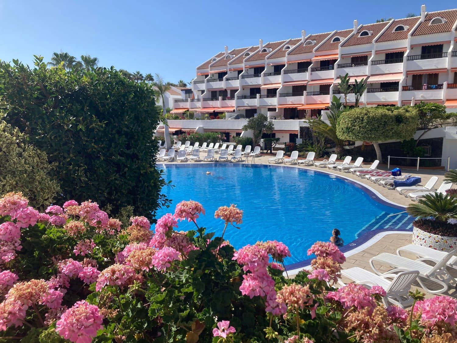 2 bedroom Apartment for rent in Playa de las Americas with pool garage - € 2,700 (Ref: 9371248)