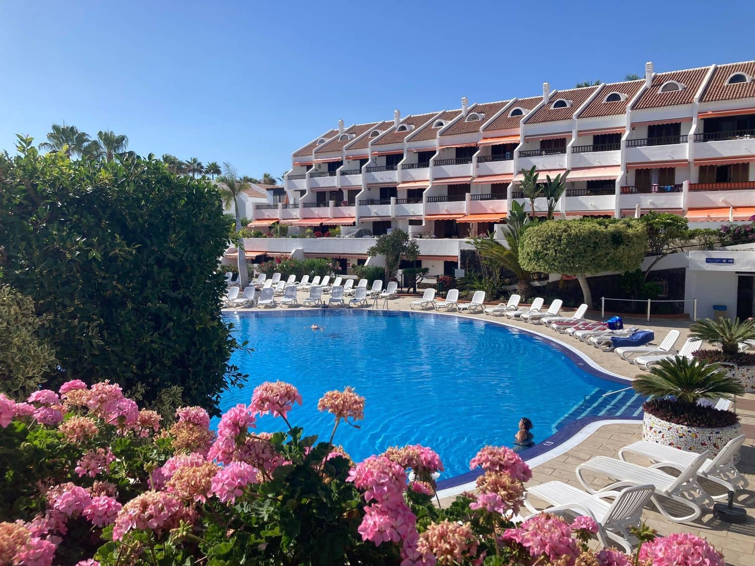 2 bedroom Apartment for rent in Playa de las Americas with pool garage - € 2,700 (Ref: 9371248)