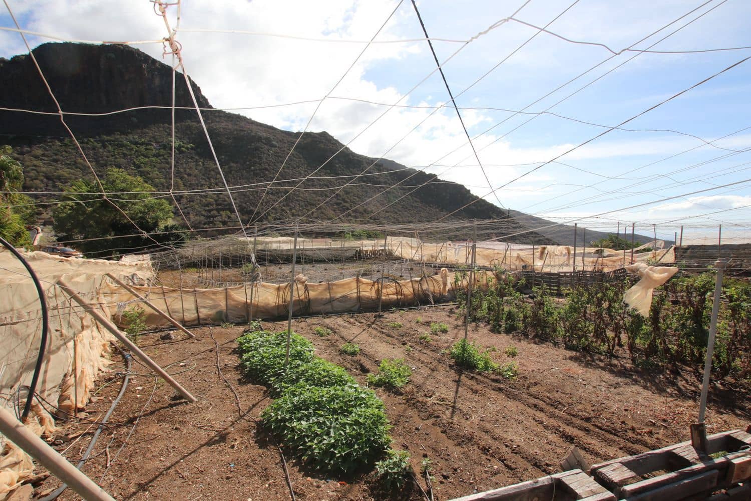 3 bedroom Finca/Country House for sale in Santiago del Teide with garage - € 840,000 (Ref: 9409075)