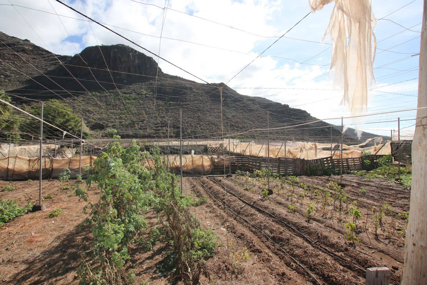 3 bedroom Finca/Country House for sale in Santiago del Teide with garage - € 840,000 (Ref: 9409075)