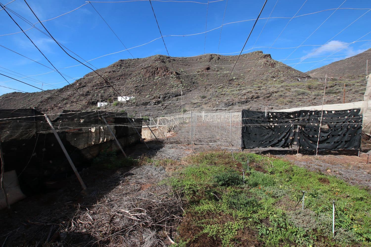 3 bedroom Finca/Country House for sale in Santiago del Teide with garage - € 840,000 (Ref: 9409075)