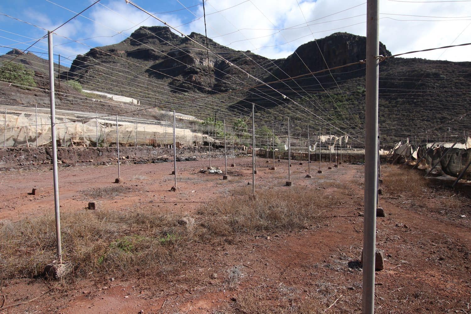3 bedroom Finca/Country House for sale in Santiago del Teide with garage - € 840,000 (Ref: 9409075)