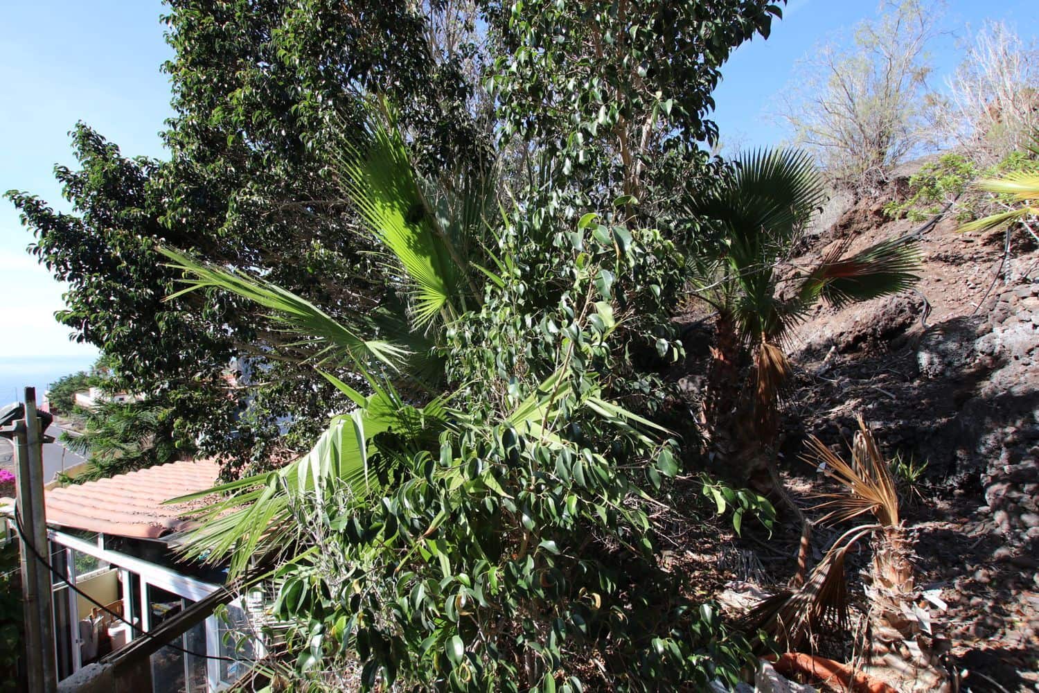 3 bedroom Finca/Country House for sale in Santiago del Teide with garage - € 840,000 (Ref: 9409075)