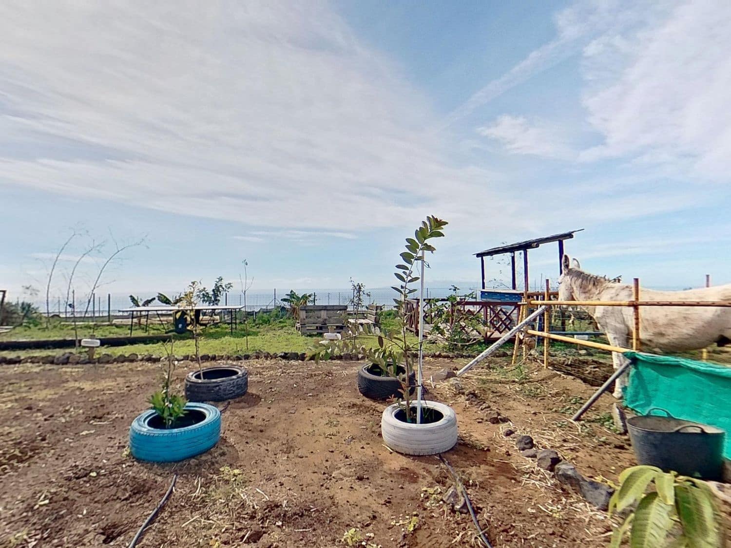 3 quarto Quinta/Casa Rural para venda em Guia de Isora com piscina garagem - 525 000 € (Ref: 9445655)