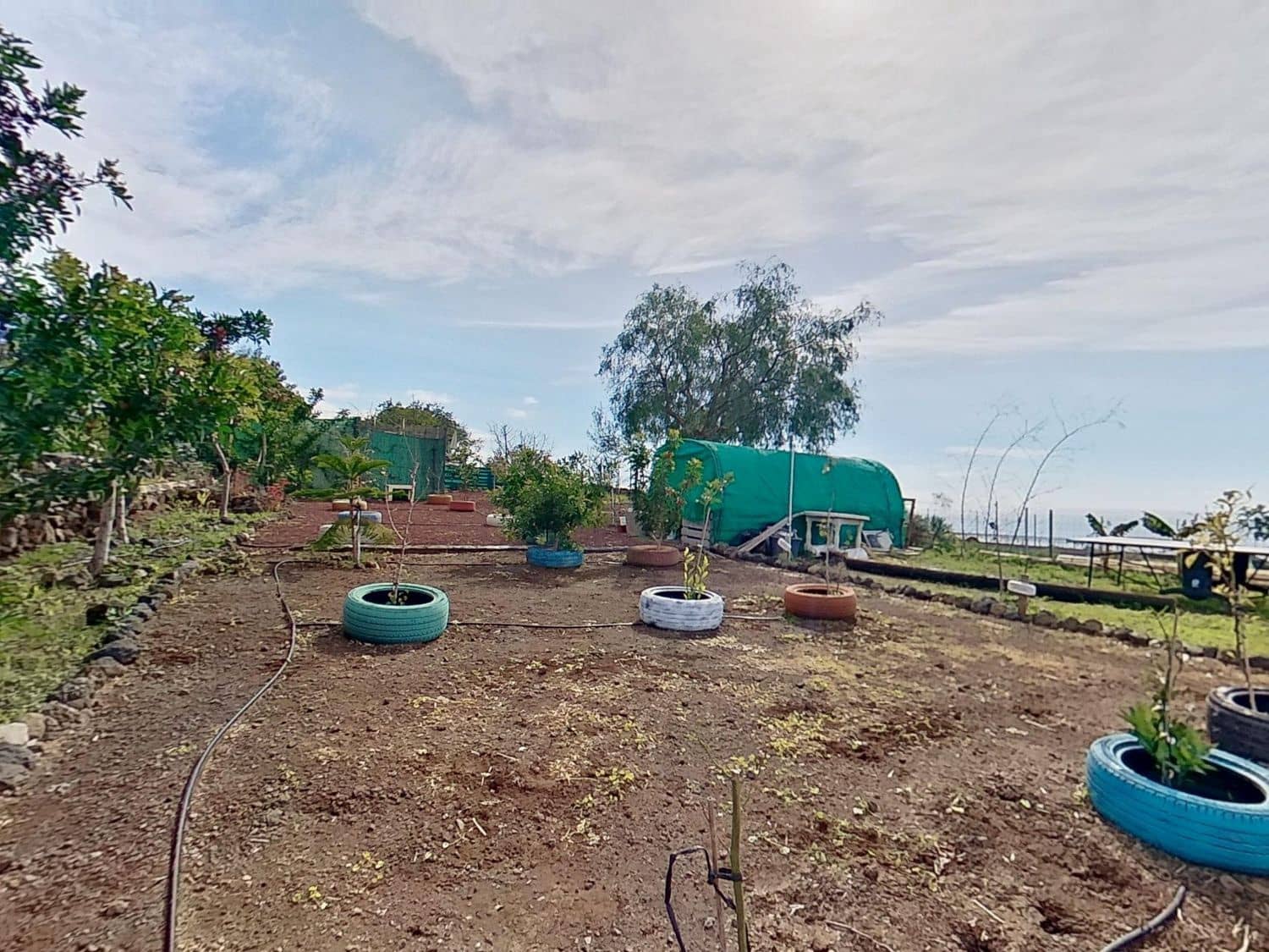 3 quarto Quinta/Casa Rural para venda em Guia de Isora com piscina garagem - 525 000 € (Ref: 9445655)