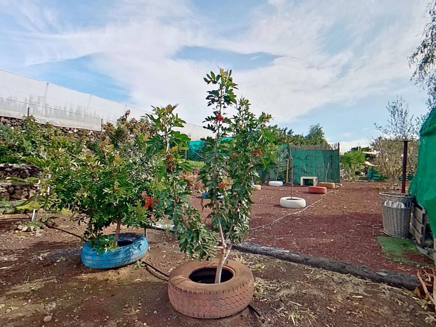 3 quarto Quinta/Casa Rural para venda em Guia de Isora com piscina garagem - 525 000 € (Ref: 9445655)