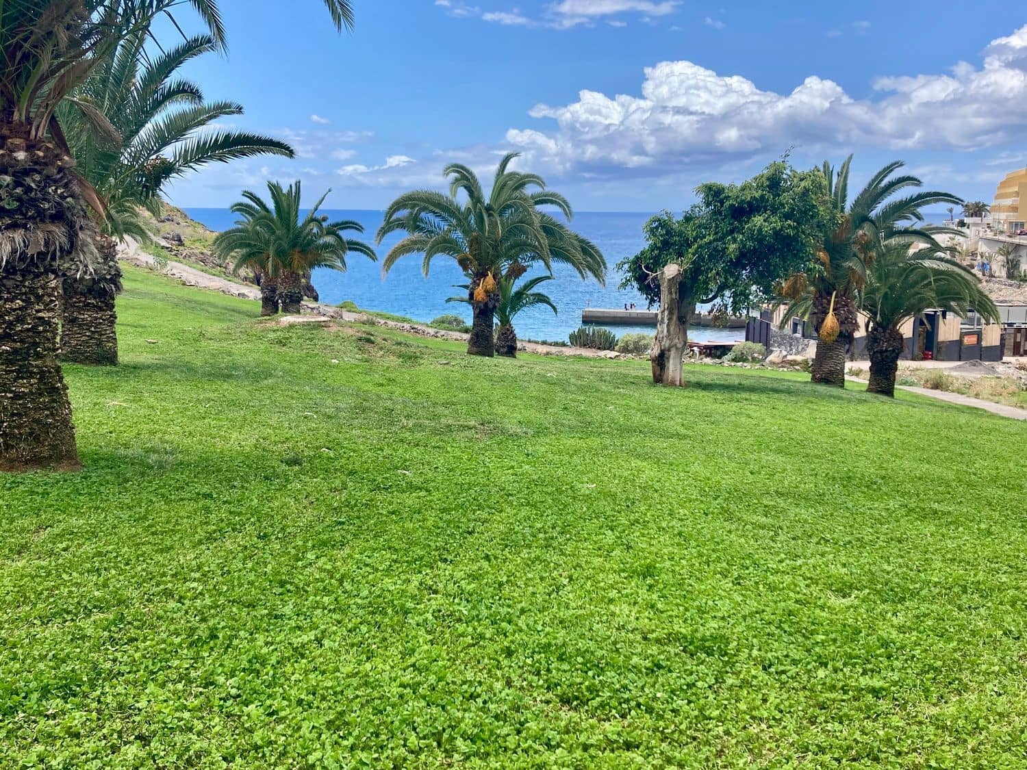 4 quarto Moradia para venda em Callao Salvaje com piscina garagem - 1 200 000 € (Ref: 9964580)