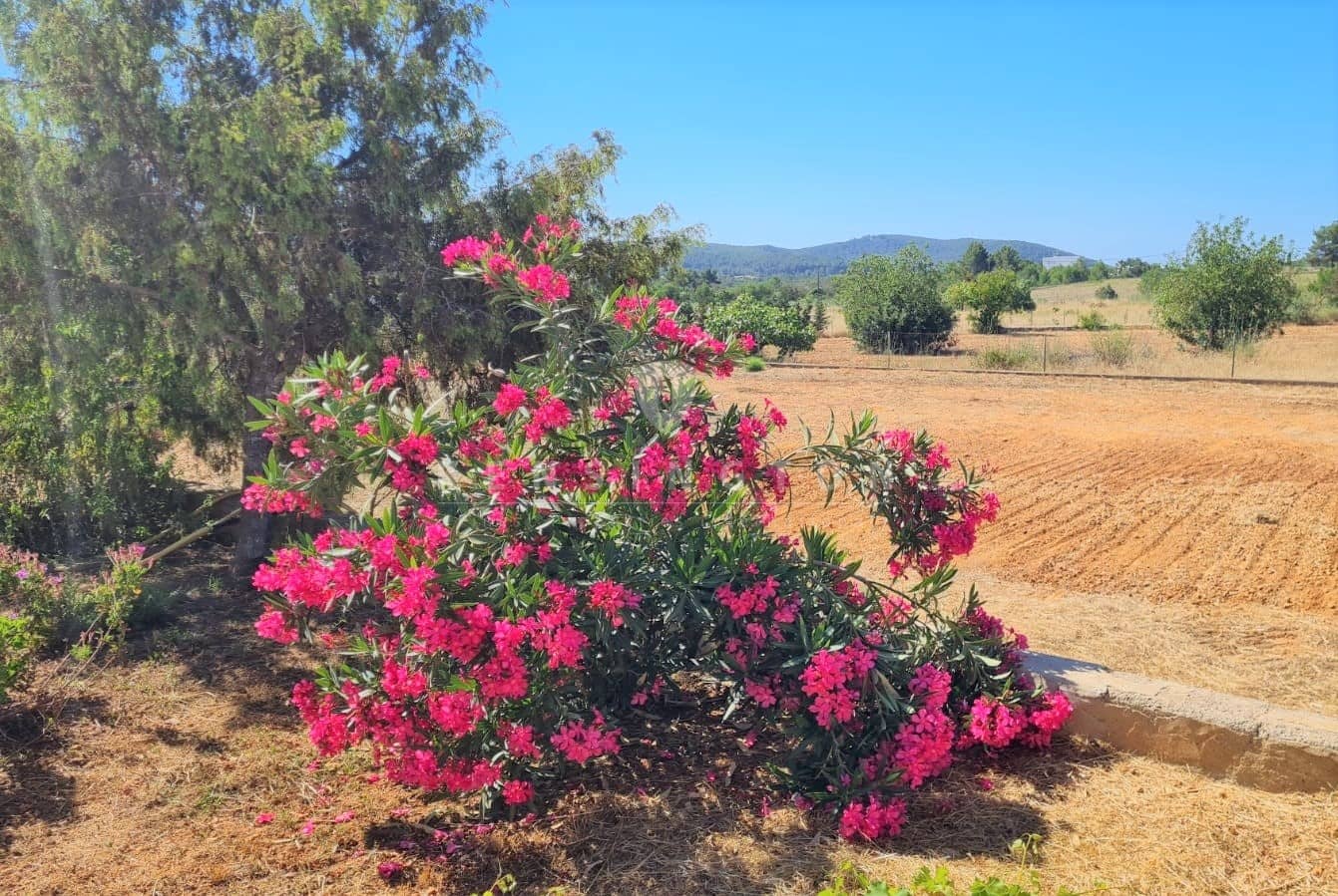 3 soveværelse Bungalow til salg i San Miguel / Sant Miquel de Balansat - € 2.575.000 (Ref: 7752669)